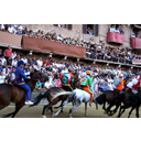 Apresentar Palio di  Siena Imagem